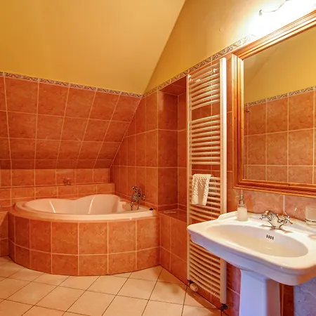 Gasthuis Cosmopolitan I. 3*